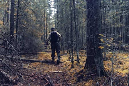 Купить диплом Егеря, лесника в Челябинске