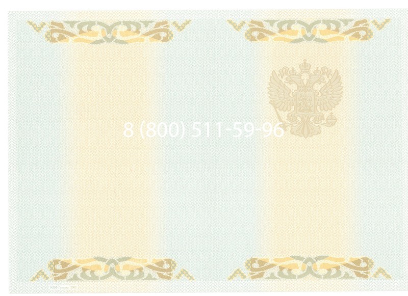 Купить Диплом бакалавра 2003-2009 годов в Челябинске
