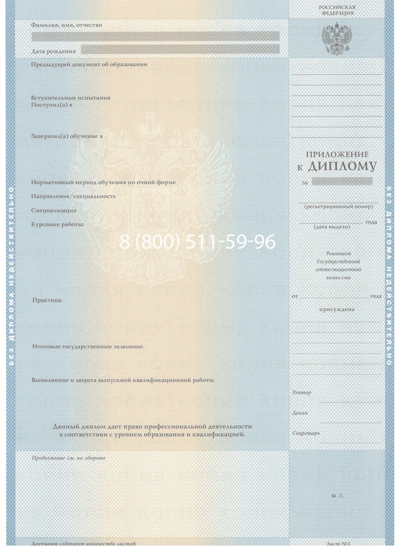 Заказать Диплом бакалавра 2003-2009 годов в Челябинске