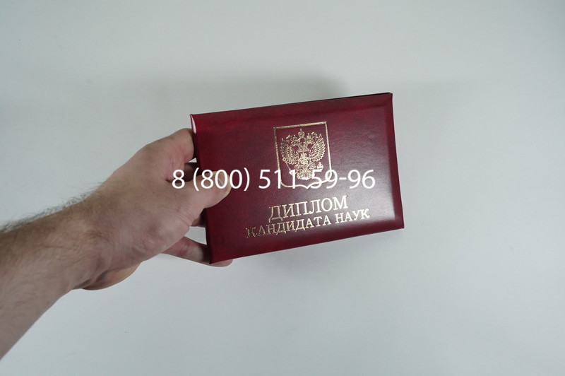 Диплом кандидата наук 2010 в Челябинске