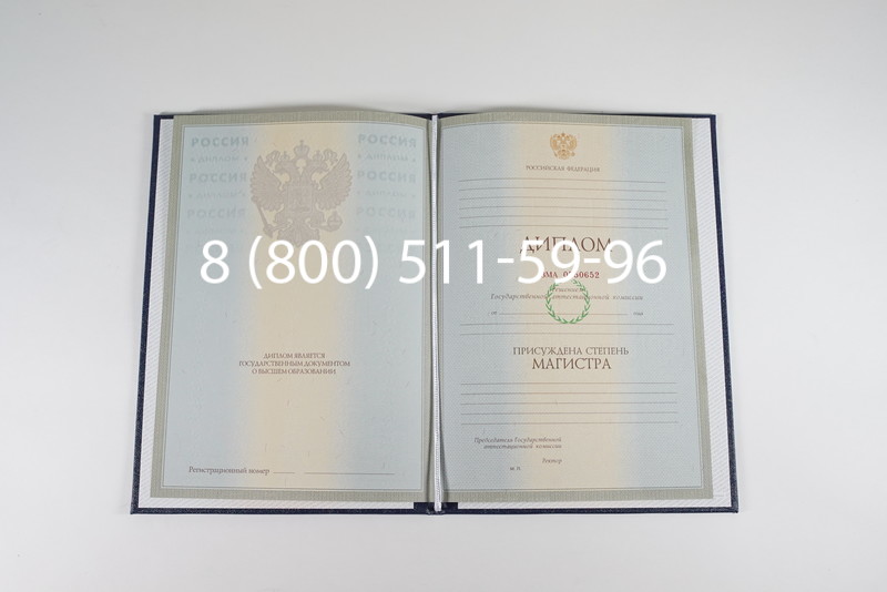 Диплом магистра 2003-2009 годов в Челябинске