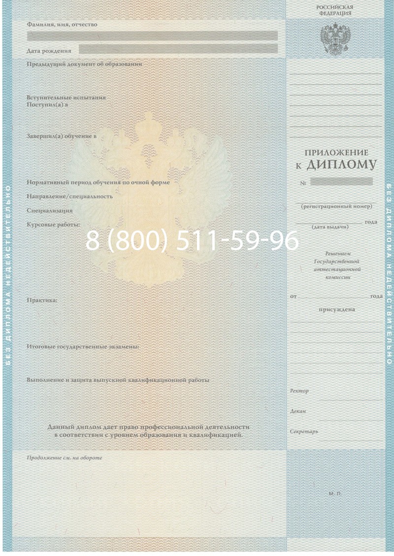 Заказать Диплом магистра 2010-2011 годов в Челябинске