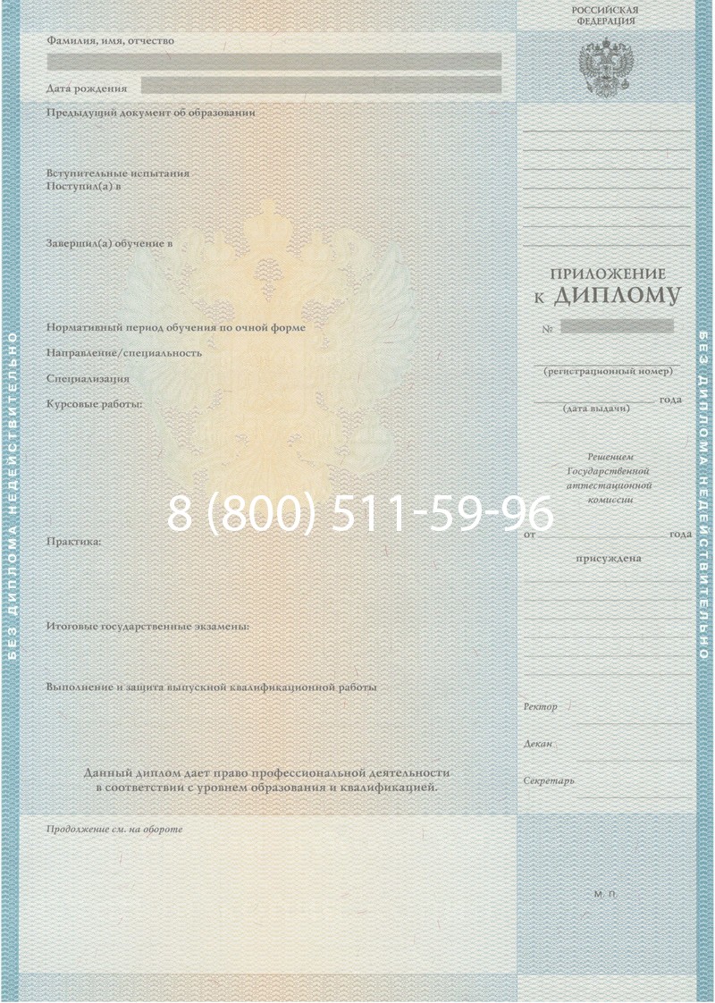 Заказать Диплом специалиста 2010-2011 годов в Челябинске